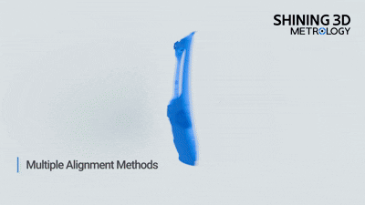 Multiple Alignment Methods
